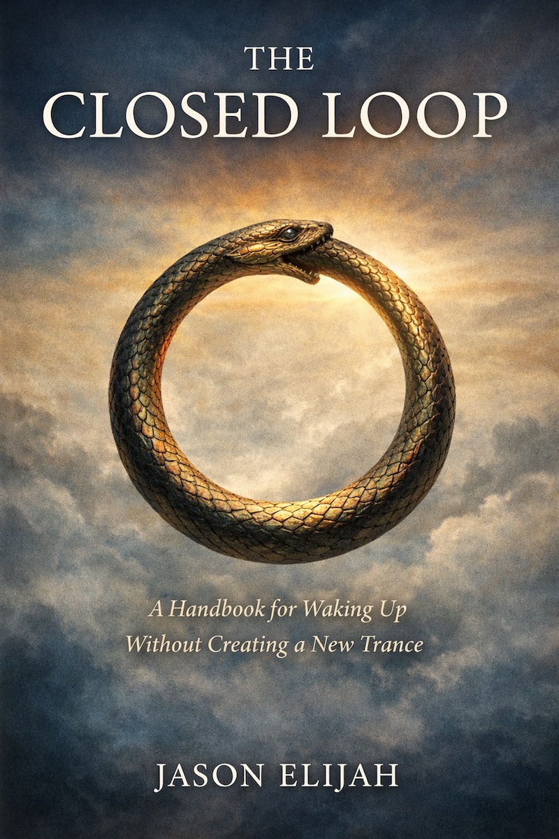 Cover of The Closed Loop