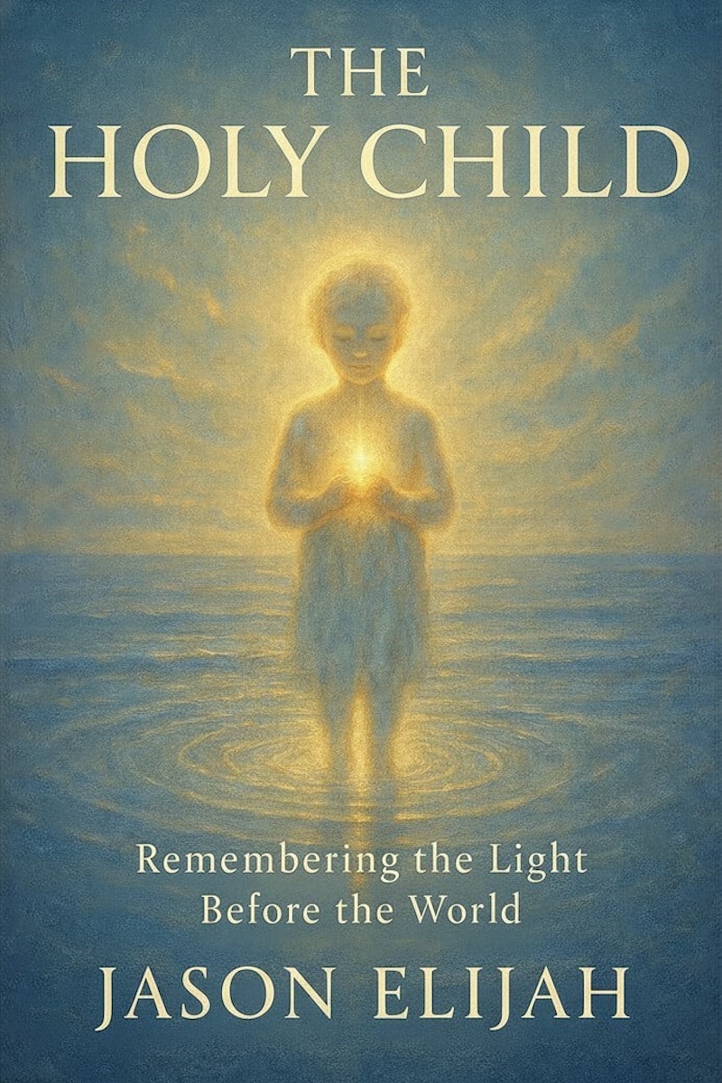 Cover of The Holy Child