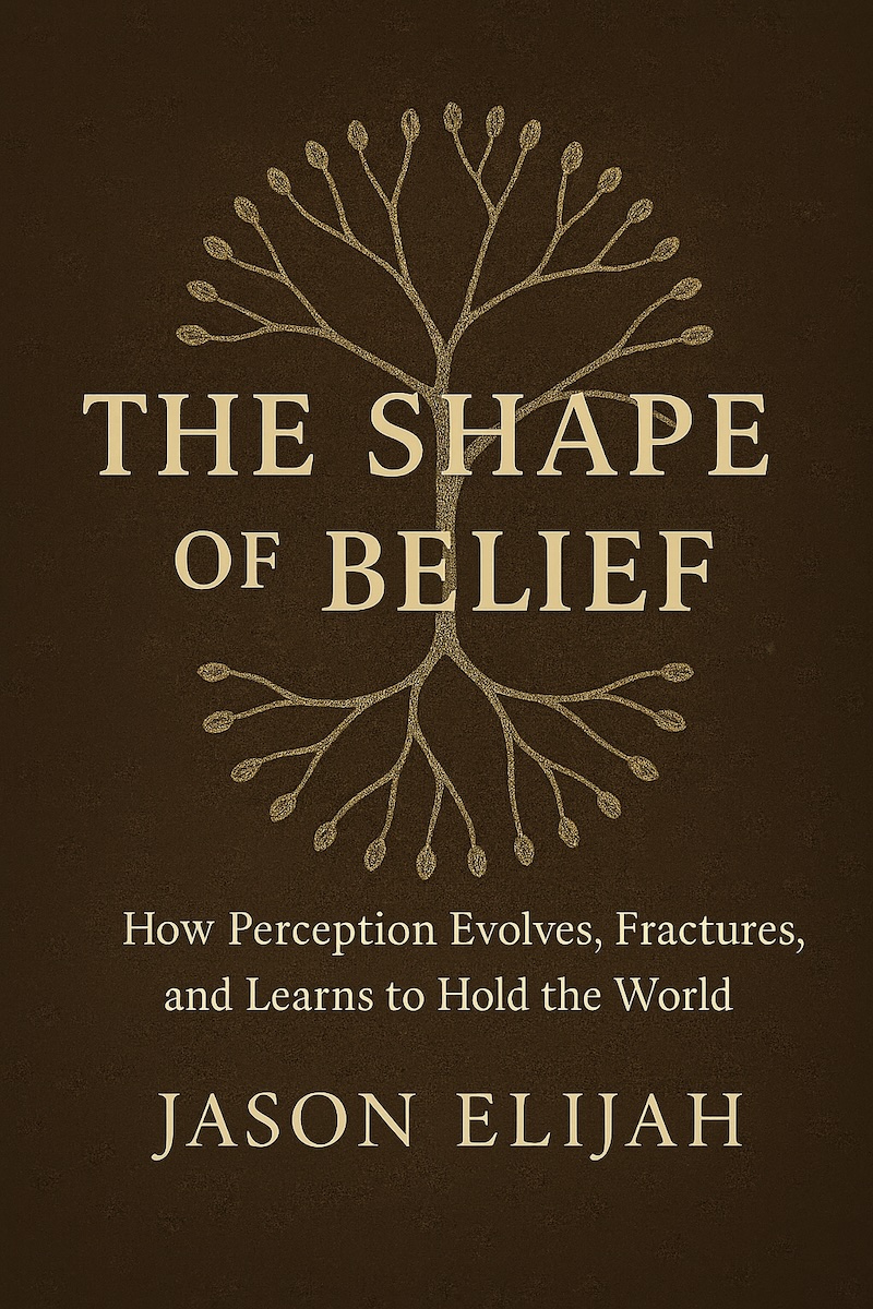 Cover of The Shape of Belief